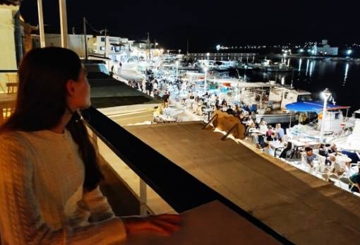 Από την πρόκληση στην ευκαιρία (και) για την Ελαφόνησο