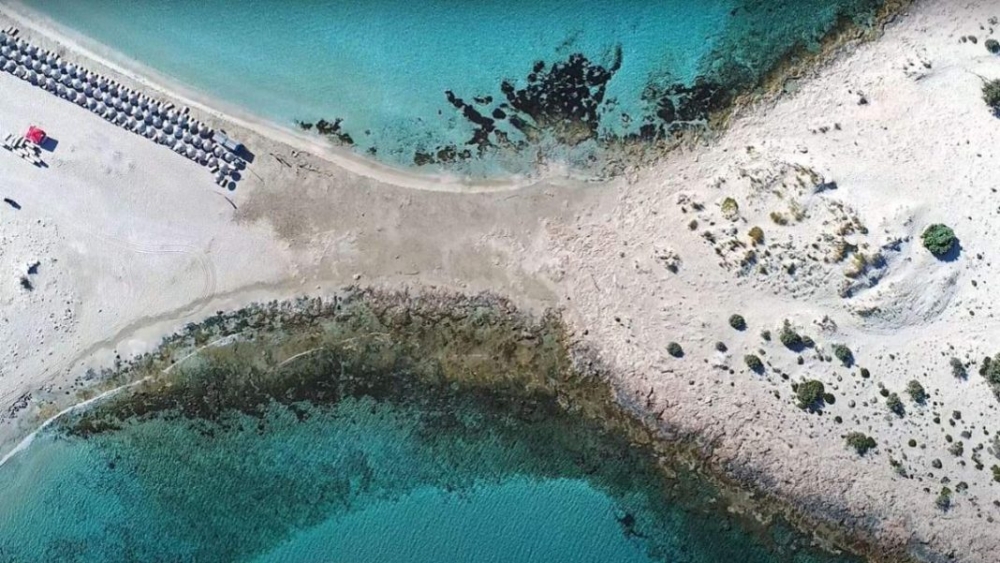 &Tau;&sigma;έ&chi;&iota;&kappa;&omicron; top-10 &gamma;&iota;&alpha; &tau;&omicron;&nu; &Sigma;ί&mu;&omicron; &Epsilon;&lambda;&alpha;&phi;&omicron;&nu;ή&sigma;&omicron;&upsilon;!