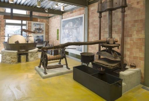 Παγκόσμια Ημέρα Περιβάλλοντος στο Μουσείο Ελιάς και Λαδιού