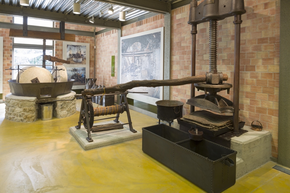 &Pi;&alpha;&gamma;&kappa;ό&sigma;&mu;&iota;&alpha; &Eta;&mu;έ&rho;&alpha; &Pi;&epsilon;&rho;&iota;&beta;ά&lambda;&lambda;&omicron;&nu;&tau;&omicron;&sigmaf; &sigma;&tau;&omicron; &Mu;&omicron;&upsilon;&sigma;&epsilon;ί&omicron; &Epsilon;&lambda;&iota;ά&sigmaf; &kappa;&alpha;&iota; &Lambda;&alpha;&delta;&iota;&omicron;ύ