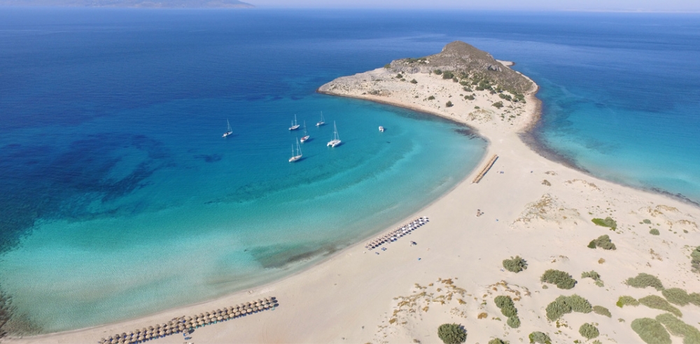 &Eta; &Epsilon;&lambda;&alpha;&phi;ό&nu;&eta;&sigma;&omicron;&sigmaf; &alpha;&nu;ά&mu;&epsilon;&sigma;&alpha; &sigma;&tau;&iota;&sigmaf; &kappa;&alpha;&lambda;ύ&tau;&epsilon;&rho;&epsilon;&sigmaf; &pi;&alpha;&rho;&alpha;&lambda;ί&epsilon;&sigmaf;!