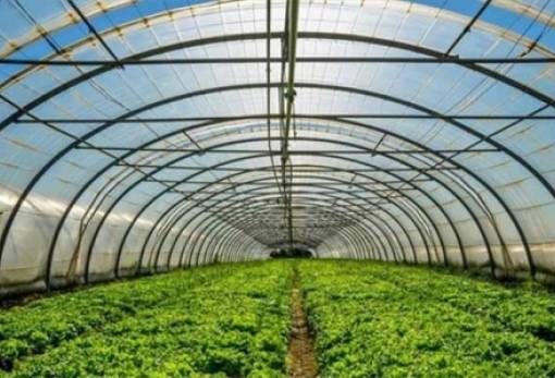 Ημερίδα στη Σκάλα  για τον εκσυγχρονισμό θερμοκηπίων