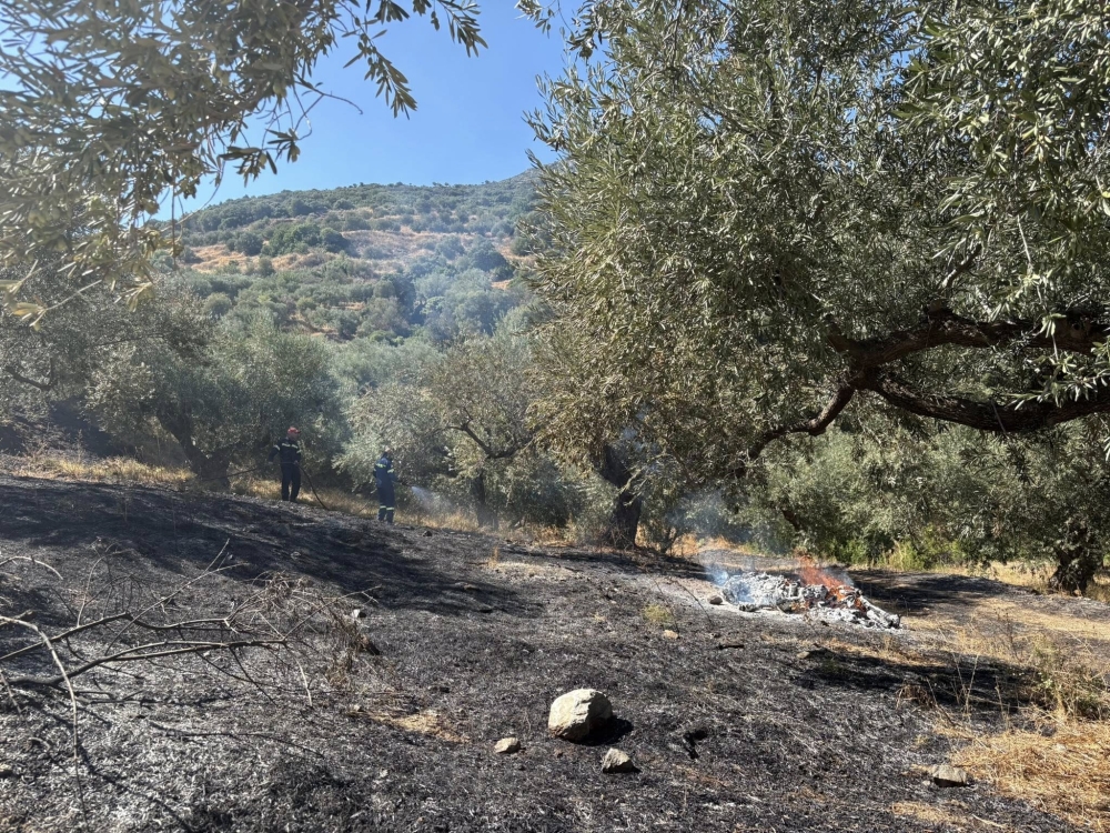&Nu;έ&alpha; &phi;&omega;&tau;&iota;ά &epsilon;&kappa;&delta;&eta;&lambda;ώ&theta;&eta;&kappa;&epsilon; &sigma;&tau;&alpha; &Lambda;&epsilon;&iota;&beta;ά&delta;&iota;&alpha; &Mu;&omicron;&nu;&epsilon;&mu;&beta;&alpha;&sigma;ί&alpha;&sigmaf;