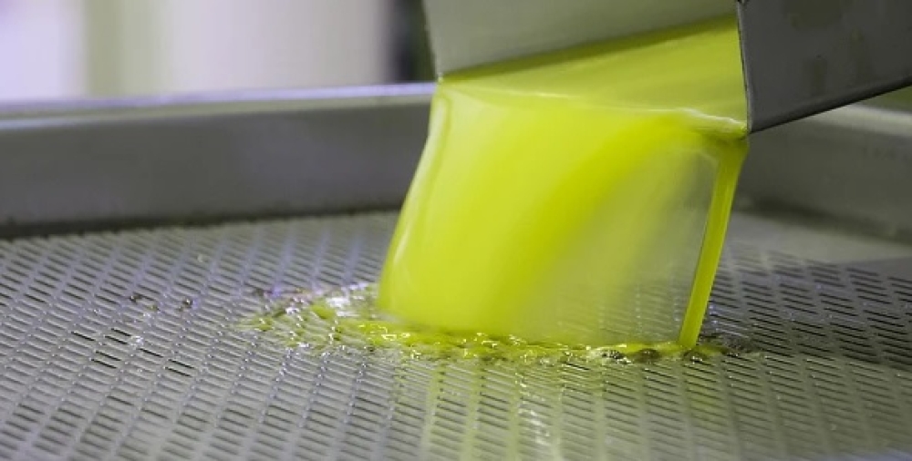 &Eta; &Lambda;&alpha;&kappa;&omega;&nu;ί&alpha; &pi;&rho;&omega;&tau;&alpha;&gamma;&omega;&nu;&iota;&sigma;&tau;&epsilon;ί &sigma;&tau;&omicron; &alpha;ύ&rho;&iota;&omicron; &tau;&omicron;&upsilon; &laquo;&pi;&rho;ά&sigma;&iota;&nu;&omicron;&upsilon; &chi;&rho;&upsilon;&sigma;&omicron;ύ&raquo;