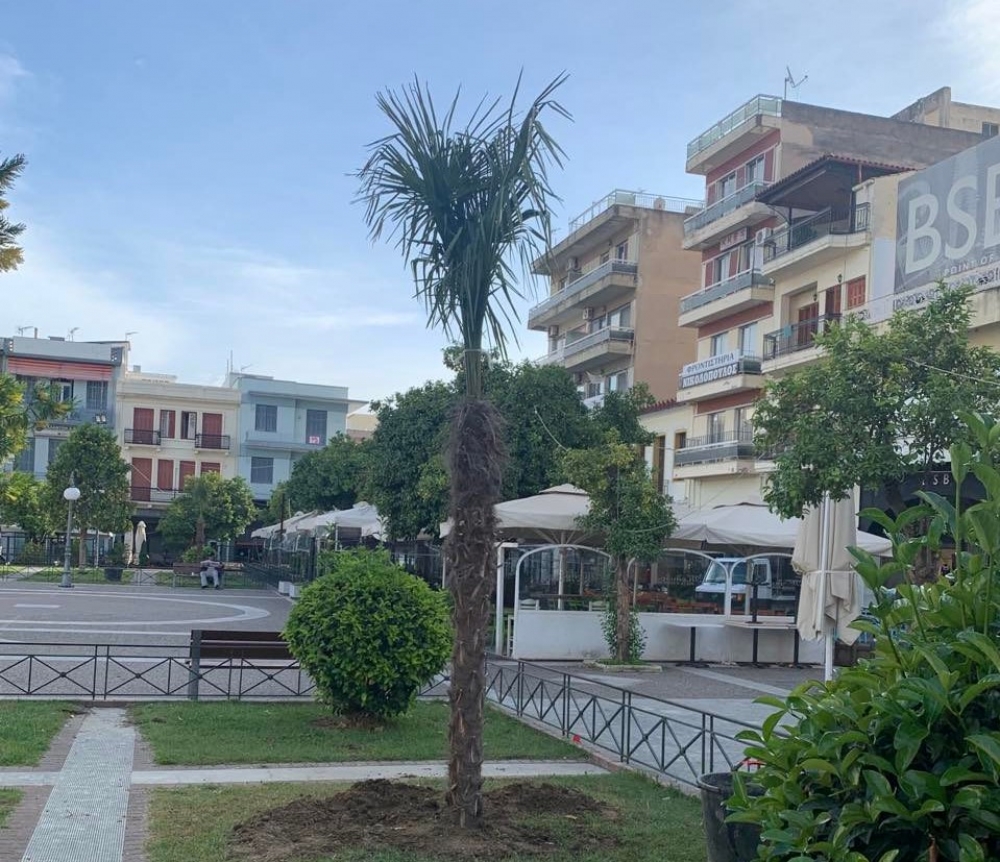 &Nu;έ&omicron;&iota; &phi;&omicron;ί&nu;&iota;&kappa;&epsilon;&sigmaf; &sigma;&tau;&eta;&nu; &pi;&lambda;&alpha;&tau;&epsilon;ί&alpha; &tau;&eta;&sigmaf; &Sigma;&pi;ά&rho;&tau;&eta;&sigmaf;