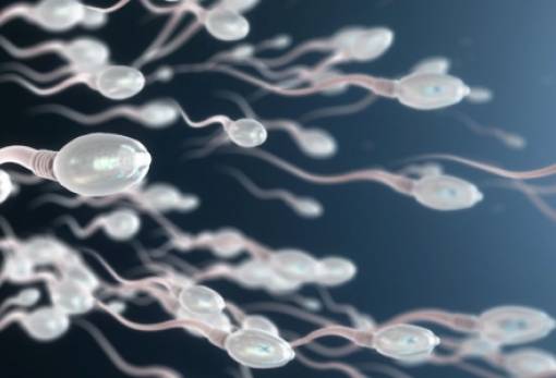 Ποια ζητήματα λύνει ο νέος ευρωπαϊκός κανονισμός SoHO για δωρητές σπέρματος και ωαρίων και ποια όχι