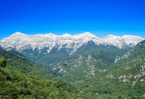 Δι(ΟΧΕ)τευση δράσης για ζωντανό και ελκυστικό Ταΰγετο