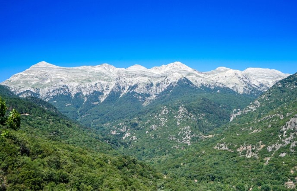 &Delta;&iota;(&Omicron;&Chi;&Epsilon;)&tau;&epsilon;&upsilon;&sigma;&eta; &delta;&rho;ά&sigma;&eta;&sigmaf; &gamma;&iota;&alpha; &zeta;&omega;&nu;&tau;&alpha;&nu;ό &kappa;&alpha;&iota; &epsilon;&lambda;&kappa;&upsilon;&sigma;&tau;&iota;&kappa;ό &Tau;&alpha;ΰ&gamma;&epsilon;&tau;&omicron;