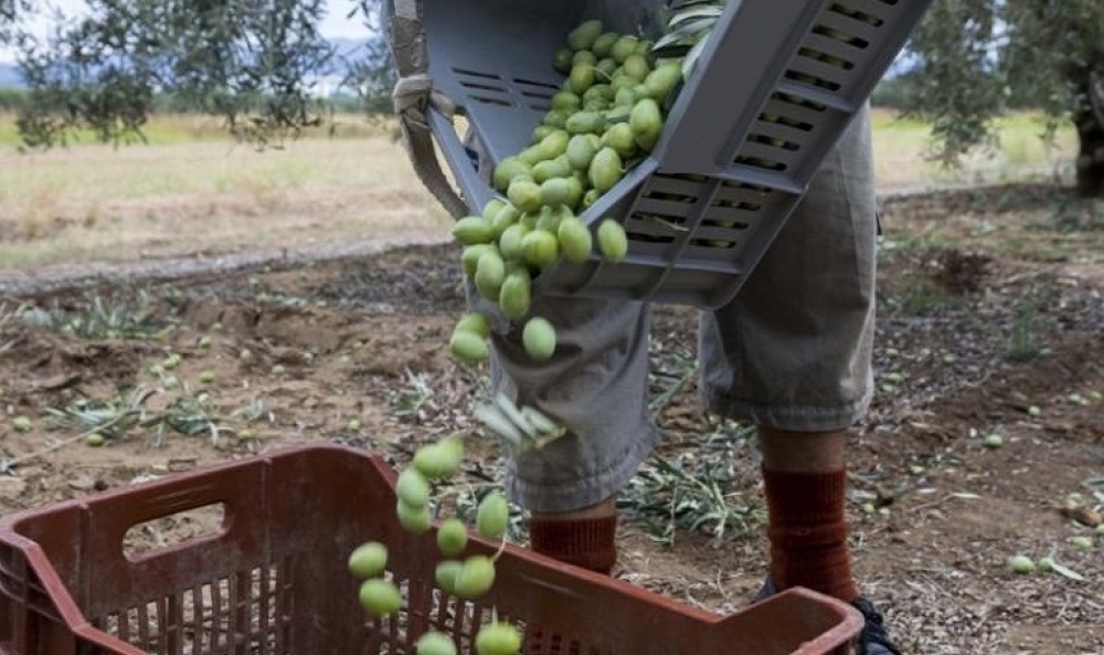 &Epsilon;&kappa;&mu;&epsilon;&tau;ά&lambda;&lambda;&epsilon;&upsilon;&sigma;&eta; &epsilon;&rho;&gamma;&alpha;&tau;ώ&nu; &gamma;&eta;&sigmaf; &alpha;&pi;&omicron;&kappa;&alpha;&lambda;ύ&phi;&theta;&eta;&kappa;&epsilon; &xi;&alpha;&nu;ά &sigma;&tau;&eta; &Lambda;&alpha;&kappa;&omega;&nu;ί&alpha;