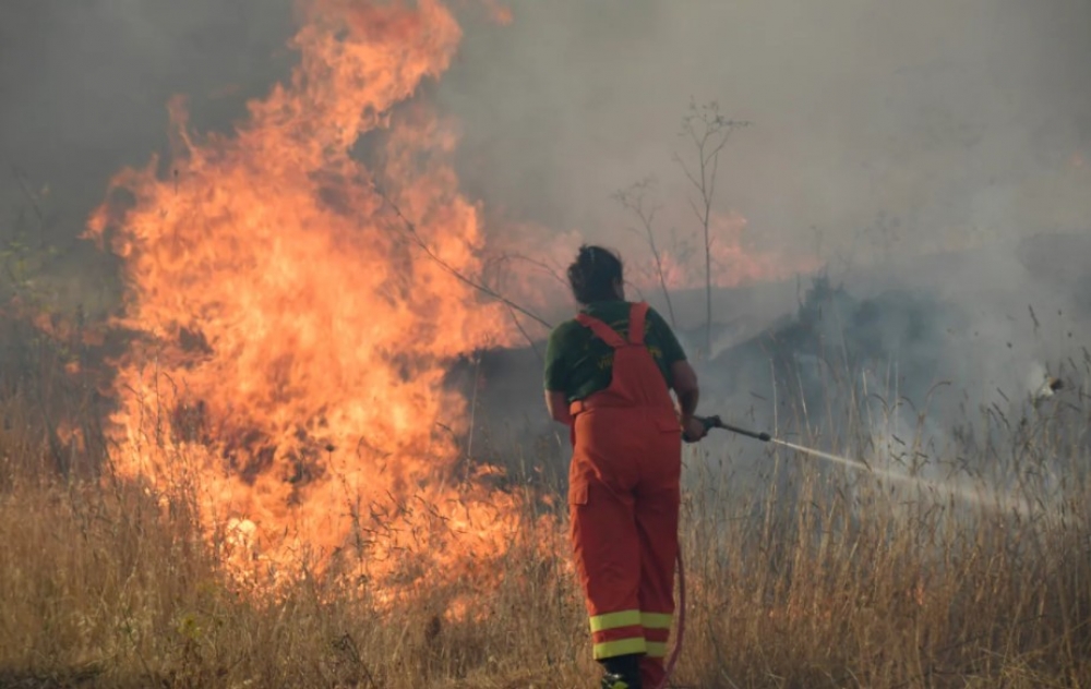 &Pi;&rho;ό&sigma;&lambda;&eta;&psi;&eta; 20 &alpha;&tau;ό&mu;&omega;&nu; &gamma;&iota;&alpha; &pi;&upsilon;&rho;&alpha;&sigma;&phi;ά&lambda;&epsilon;&iota;&alpha; &sigma;&tau;&omicron;&nu; &Delta;. &Mu;&omicron;&nu;&epsilon;&mu;&beta;&alpha;&sigma;ί&alpha;&sigmaf;