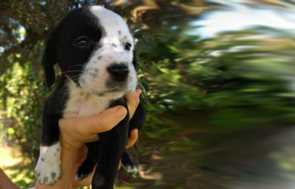 &Chi;&nu;&omicron;&upsilon;&delta;&omega;&tau;έ&sigmaf; &Delta;&iota;&alpha;&delta;&rho;&omicron;&mu;έ&sigmaf;: &Eta; &Alpha;ύ&rho;&alpha;, &eta; &Iota;ό&lambda;&eta; &kappa;&alpha;&iota; &eta; &Pi;&eta;&gamma;ή &theta;έ&lambda;&omicron;&upsilon;&nu; &nu;&alpha; &sigma;&alpha;&sigmaf; &gamma;&nu;&omega;&rho;ί&sigma;&omicron;&upsilon;&nu;