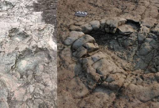 Ίχνη δεινοσαύρων ηλικίας 220 εκατ. ετών ανακαλύφθηκαν στην Ουαλία