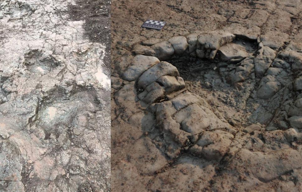 Ί&chi;&nu;&eta; &delta;&epsilon;&iota;&nu;&omicron;&sigma;&alpha;ύ&rho;&omega;&nu; &eta;&lambda;&iota;&kappa;ί&alpha;&sigmaf; 220 &epsilon;&kappa;&alpha;&tau;. &epsilon;&tau;ώ&nu; &alpha;&nu;&alpha;&kappa;&alpha;&lambda;ύ&phi;&theta;&eta;&kappa;&alpha;&nu; &sigma;&tau;&eta;&nu; &Omicron;&upsilon;&alpha;&lambda;ί&alpha;