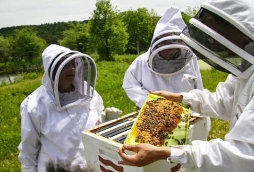 Δήλωση κατεχομένων κυψελών έτους 2023