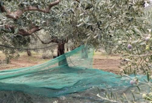 Προσοχή: Κλέφτες «καραδοκούν» σε κτήματα