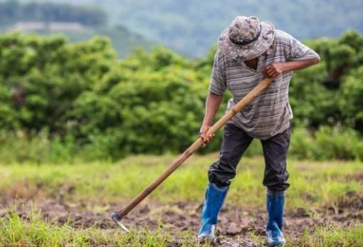 Εργάτες γης: Στις 10 Ιουνίου ανοίγει η πλατφόρμα