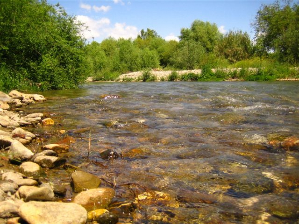 &laquo;&Pi;έ&pi;&lambda;&omicron;&raquo; &pi;&rho;&omicron;&sigma;&tau;&alpha;&sigma;ί&alpha;&sigmaf; &sigma;&tau;&omicron;&nu; &Epsilon;&upsilon;&rho;ώ&tau;&alpha;  &delta;&iota;&alpha; &tau;&eta;&sigmaf; &delta;&iota;&kappa;&alpha;&sigma;&tau;&iota;&kappa;ή&sigmaf; &omicron;&delta;&omicron;ύ