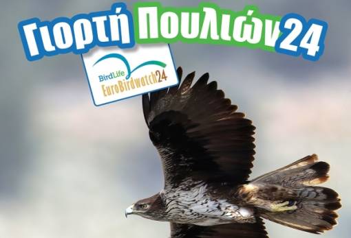 Ευρωπαϊκή Γιορτή των Πουλιών με δράσεις στη Λακωνία