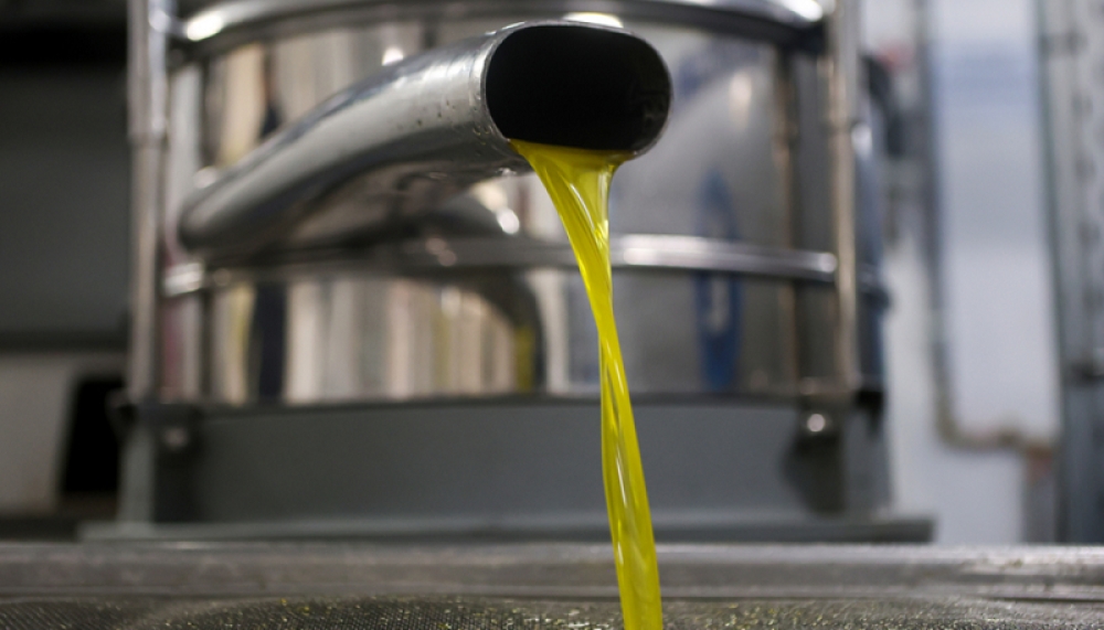 &Sigma;&tau;&iota;&sigmaf; &pi;&alpha;&rho;&upsilon;&phi;έ&sigmaf; &tau;&omega;&nu; 5 &epsilon;&upsilon;&rho;ώ &tau;&omicron;&nu; &Mu;ά&rho;&tau;&iota;&omicron;  &omicron;&iota; &tau;&iota;&mu;έ&sigmaf; &tau;&omicron;&upsilon; &epsilon;&lambda;&alpha;&iota;&omicron;&lambda;ά&delta;&omicron;&upsilon; &sigma;&tau;&eta; &Lambda;&alpha;&kappa;&omega;&nu;ί&alpha;