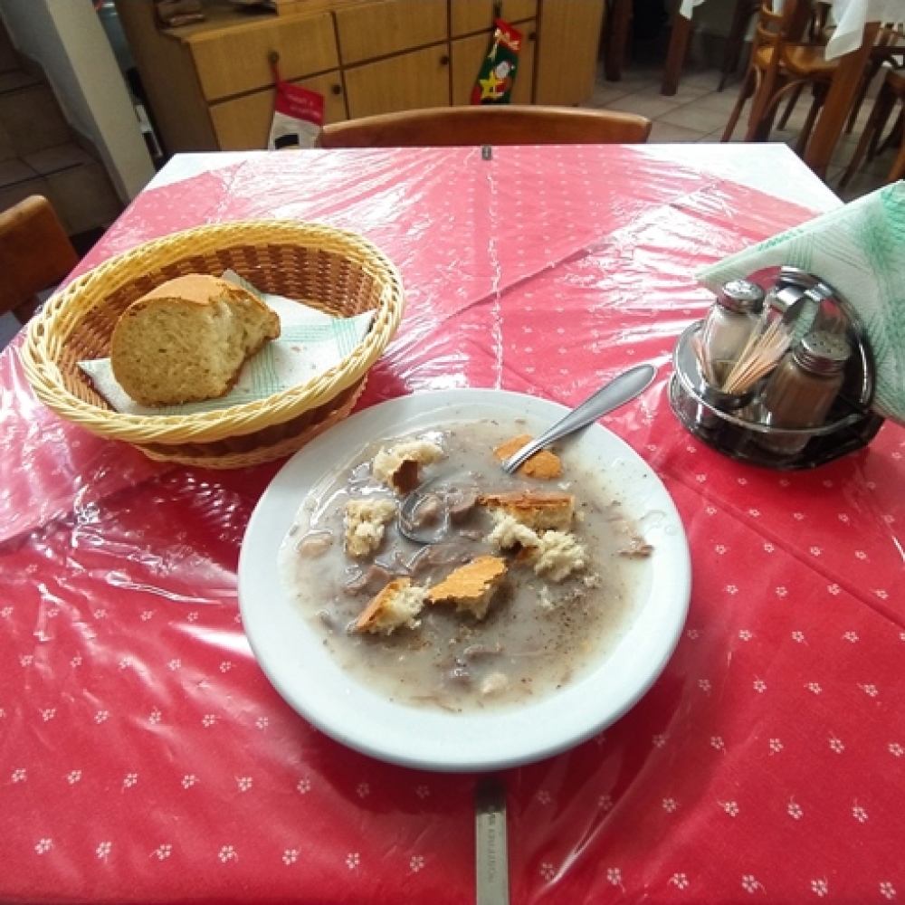 &Sigma;&tau;&omicron;&upsilon; &laquo;&Lambda;ά&mu;&pi;&rho;&omicron;&upsilon;&raquo; &gamma;&iota;&alpha; &mu;&omicron;&sigma;&chi;&alpha;&rho;&omicron;&kappa;&epsilon;&phi;&alpha;&lambda;ή