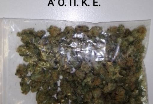 Μονοήμερο «σαφάρι» της ΕΛΑΣ  στην Πελοπόννησο