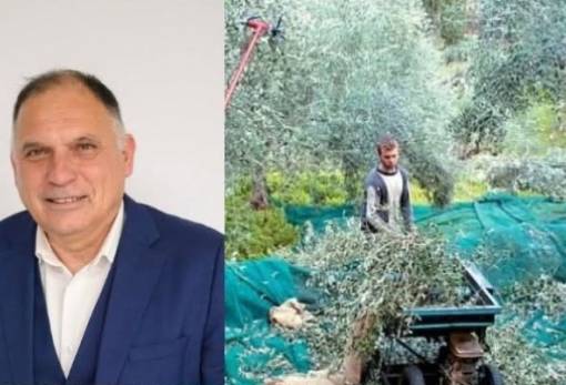 Ερώτηση Κρητικού για τη διαδικασία του Ελαιοκομικού Μητρώου