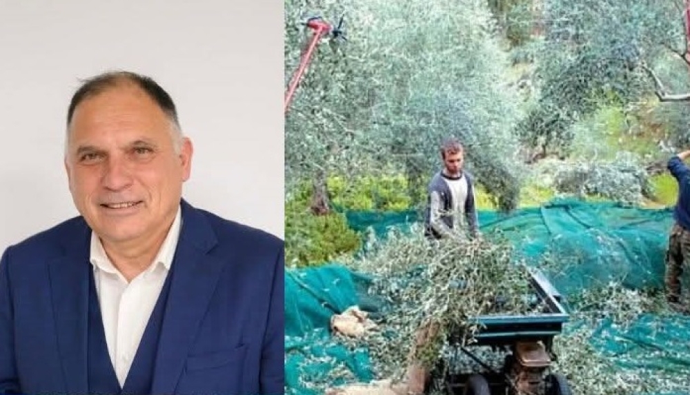 &Epsilon;&rho;ώ&tau;&eta;&sigma;&eta; &Kappa;&rho;&eta;&tau;&iota;&kappa;&omicron;ύ &gamma;&iota;&alpha; &tau;&eta; &delta;&iota;&alpha;&delta;&iota;&kappa;&alpha;&sigma;ί&alpha; &tau;&omicron;&upsilon; &Epsilon;&lambda;&alpha;&iota;&omicron;&kappa;&omicron;&mu;&iota;&kappa;&omicron;ύ &Mu;&eta;&tau;&rho;ώ&omicron;&upsilon;