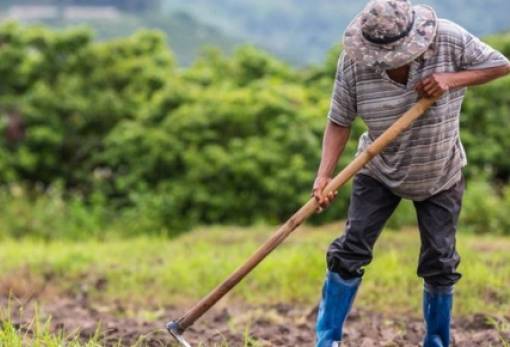 Εγκρίθηκαν 80 εκατ. ευρώ για τους Έλληνες αγρότες