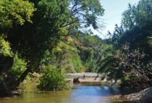 Η πρώτη συμβιωτική κοινότητα στην Ελλάδα θα δημιουργηθεί στη Λακωνία