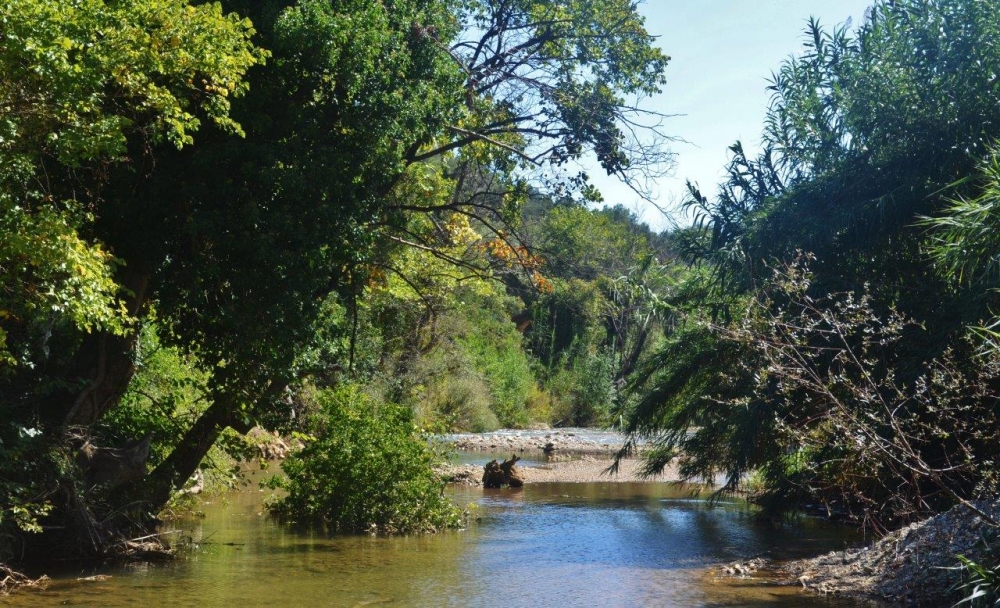 &Eta; &pi;&rho;ώ&tau;&eta; &sigma;&upsilon;&mu;&beta;&iota;&omega;&tau;&iota;&kappa;ή &kappa;&omicron;&iota;&nu;ό&tau;&eta;&tau;&alpha; &sigma;&tau;&eta;&nu; &Epsilon;&lambda;&lambda;ά&delta;&alpha; &theta;&alpha; &delta;&eta;&mu;&iota;&omicron;&upsilon;&rho;&gamma;&eta;&theta;&epsilon;ί &sigma;&tau;&eta; &Lambda;&alpha;&kappa;&omega;&nu;ί&alpha;