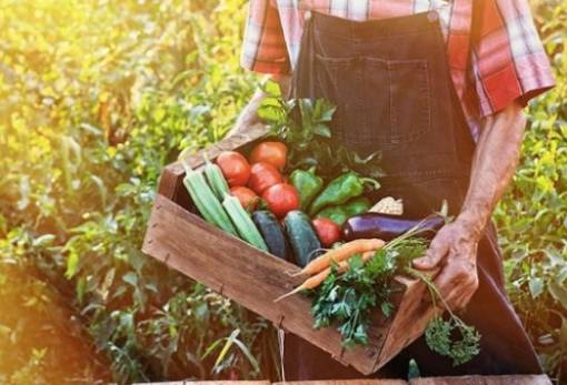 Ευρωπαϊκά Βραβεία Βιολογικής Γεωργίας: Μέχρι τις 12 Μαΐου οι αιτήσεις