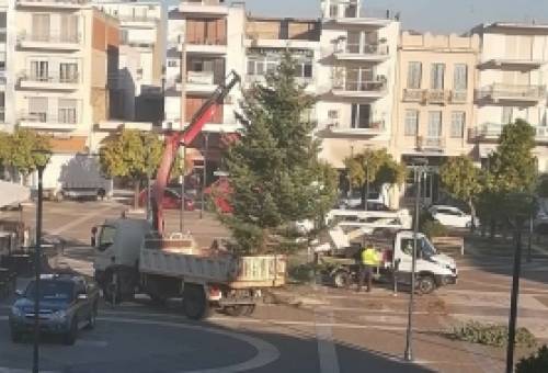 «Ω έλατο» στην πλατεία Σπάρτης