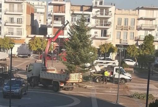 «Ω έλατο» στην πλατεία Σπάρτης