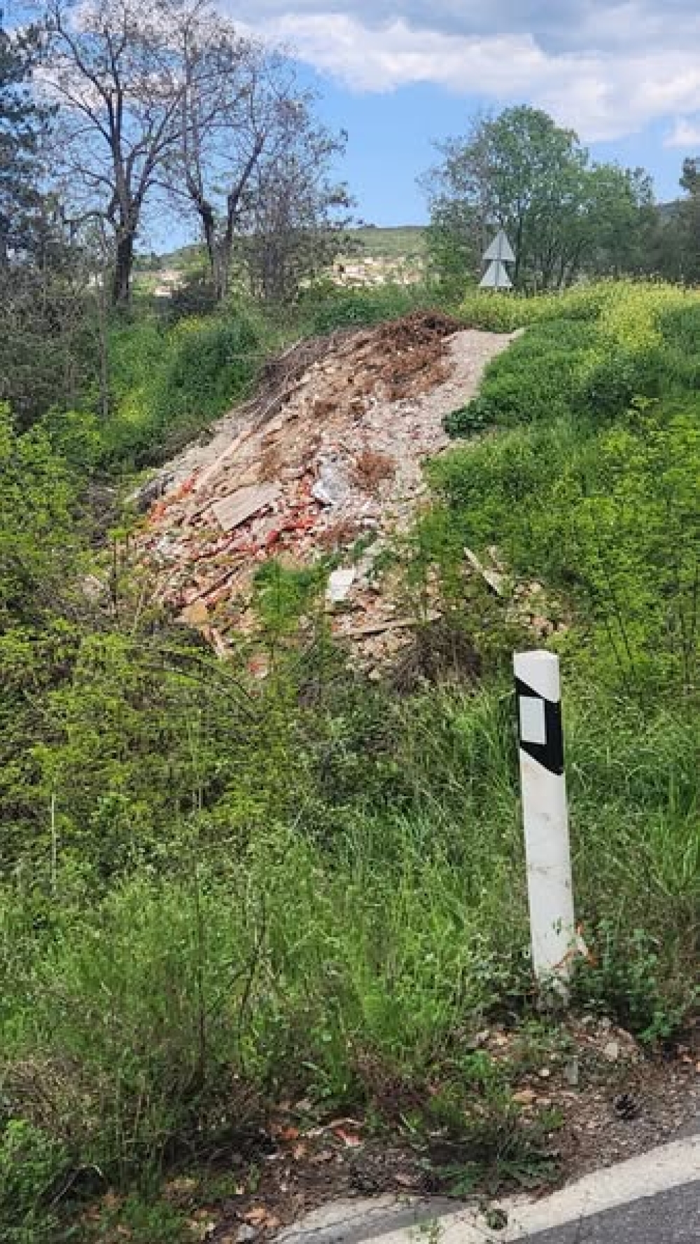 &Tau;&omicron; &delta;&iota;&kappa;ό &sigma;&alpha;&sigmaf; &sigma;&chi;ό&lambda;&iota;&omicron;: &Eta; &omicron;&mu;&omicron;&rho;&phi;&iota;ά &sigma;&tau;&omicron;&nu; &kappa;&alpha;&tau;ά&phi;&upsilon;&tau;&omicron; &Pi;ά&rho;&nu;&omega;&nu;&alpha; &pi;&lambda;&eta;&gamma;ώ&theta;&eta;&kappa;&epsilon; &alpha;&pi;ό &tau;&eta;&nu; &alpha;&sigma;&upsilon;&nu;&epsilon;&iota;&delta;&eta;&sigma;ί&alpha;