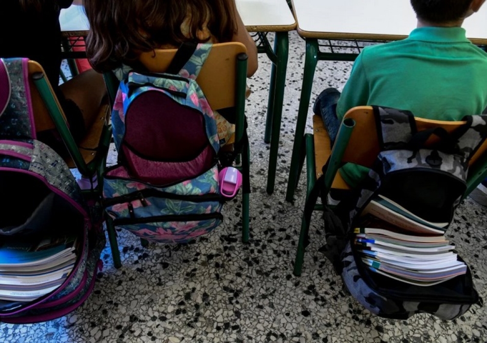 &Alpha;&nu;&tau;&iota;&delta;&rho;&omicron;ύ&nu; &omicron;&iota; &delta;ά&sigma;&kappa;&alpha;&lambda;&omicron;&iota; &sigma;&tau;&eta; &sigma;ύ&mu;&pi;&tau;&upsilon;&xi;&eta; &tau;ά&xi;&epsilon;&omega;&nu; &sigma;&epsilon; &sigma;&chi;&omicron;&lambda;&epsilon;ί&alpha; &tau;&eta;&sigmaf; &Lambda;&alpha;&kappa;&omega;&nu;ί&alpha;&sigmaf;