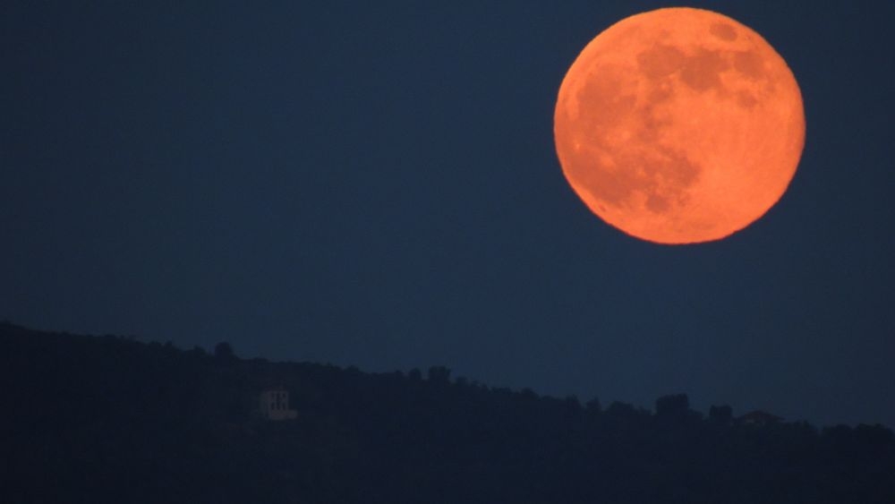 &Delta;&upsilon;&omicron; &pi;&rho;&omicron;&tau;ά&sigma;&epsilon;&iota;&sigmaf; &gamma;&iota;&alpha; &sigma;ή&mu;&epsilon;&rho;&alpha; - Έ&nu;&alpha; &delta;ί&lambda;&eta;&mu;&mu;&alpha; &kappa;&alpha;&iota; &kappa;ά&pi;&omicron;&iota;&epsilon;&sigmaf; &sigma;&kappa;έ&psi;&epsilon;&iota;&sigmaf;