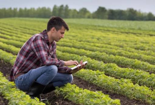 Στρατηγική «ανάσα» από την Ε.Ε.: Πακέτο έως 300.000€ για νέους αγρότες