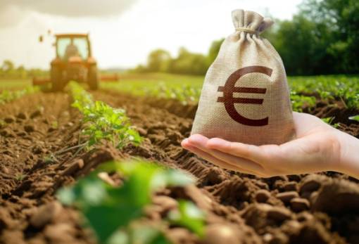 Ρύθμιση για τα κόκκινα αγροτικά δάνεια προανήγγειλε για τις αρχές του 2025 ο Κ. Τσιάρας