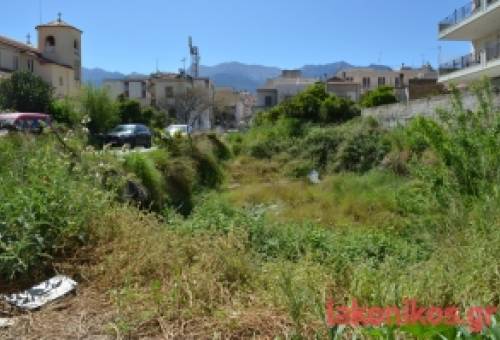 «Έζωσε» η εγκατάλειψη κοντά στο κέντρο της Σπάρτης