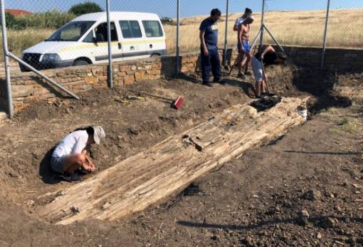 Ανακαλύφθηκε γιγαντιαίος απολιθωμένος κορμός οκτώ μέτρων στη Λήμνο