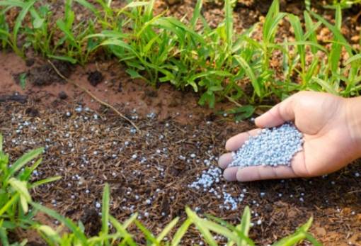 Λιπάσματα: Τριπλασιάστηκαν οι εισαγωγές από Ρωσία-Λευκορωσία