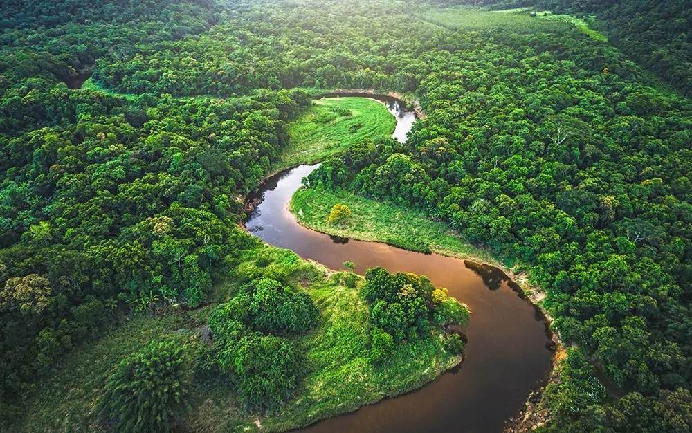 &Sigma;&epsilon; &epsilon;&pi;ί&pi;&epsilon;&delta;&omicron; &rho;&epsilon;&kappa;ό&rho; έ&phi;&tau;&alpha;&sigma;&epsilon; &pi;έ&rho;&upsilon;&sigma;&iota; &eta; &kappa;&alpha;&tau;&alpha;&sigma;&tau;&rho;&omicron;&phi;ή &tau;&omega;&nu; &tau;&rho;&omicron;&pi;&iota;&kappa;ώ&nu; &delta;&alpha;&sigma;ώ&nu;