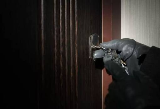 «Ποντικός» που ρήμαζε το Γύθειο στα χέρια της ΕΛΑΣ