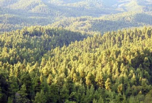 Η στρατηγική σημασία των χερσαίων οικοσυστημάτων στην κλιματική προσαρμογή