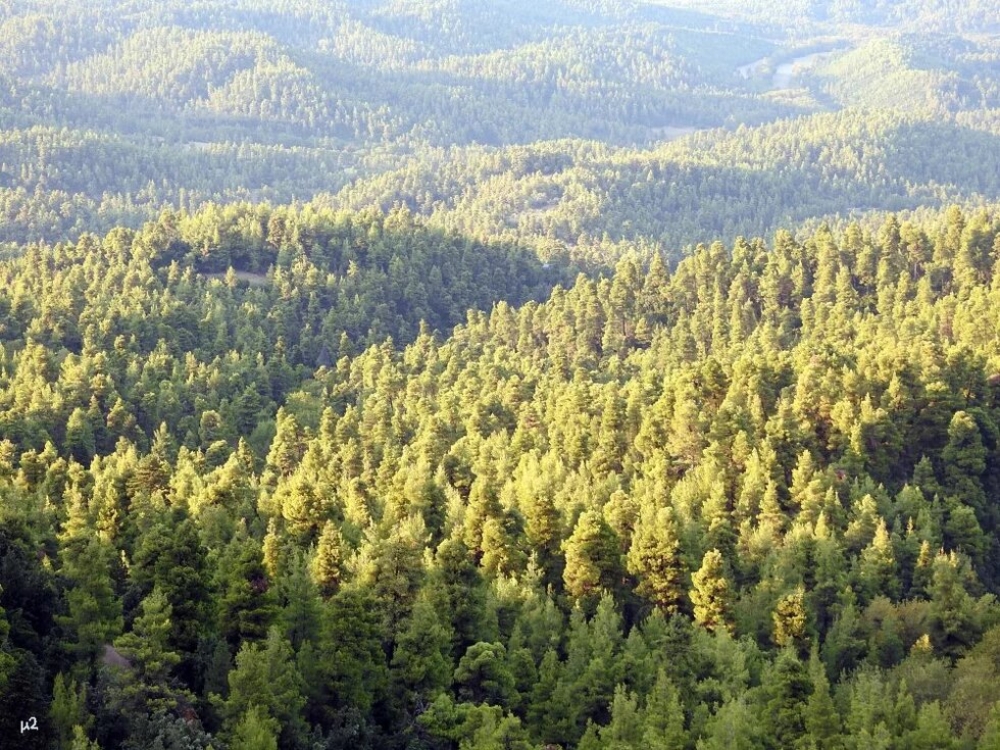 &Eta; &sigma;&tau;&rho;&alpha;&tau;&eta;&gamma;&iota;&kappa;ή &sigma;&eta;&mu;&alpha;&sigma;ί&alpha; &tau;&omega;&nu; &chi;&epsilon;&rho;&sigma;&alpha;ί&omega;&nu; &omicron;&iota;&kappa;&omicron;&sigma;&upsilon;&sigma;&tau;&eta;&mu;ά&tau;&omega;&nu; &sigma;&tau;&eta;&nu; &kappa;&lambda;&iota;&mu;&alpha;&tau;&iota;&kappa;ή &pi;&rho;&omicron;&sigma;&alpha;&rho;&mu;&omicron;&gamma;ή