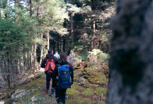 Εξόρμηση στον Πάρνωνα από τον ΕΟΣ ΜΝΑΛ και ΕΟΣ Σπάρτης