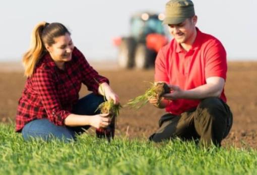 Νέο πρόγραμμα «Νέων αγροτών 2024»: Βασικά Σημεία
