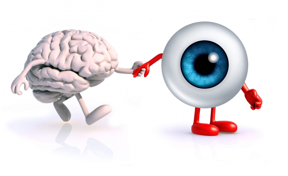 &Eta; &epsilon;&pi;ί&delta;&rho;&alpha;&sigma;&eta; &tau;&eta;&sigmaf; ό&rho;&alpha;&sigma;&eta;&sigmaf; &sigma;&tau;&eta;&nu; &alpha;&nu;ά&pi;&tau;&upsilon;&xi;&eta; &tau;&omicron;&upsilon; &alpha;&nu;&theta;&rho;ώ&pi;&omicron;&upsilon;