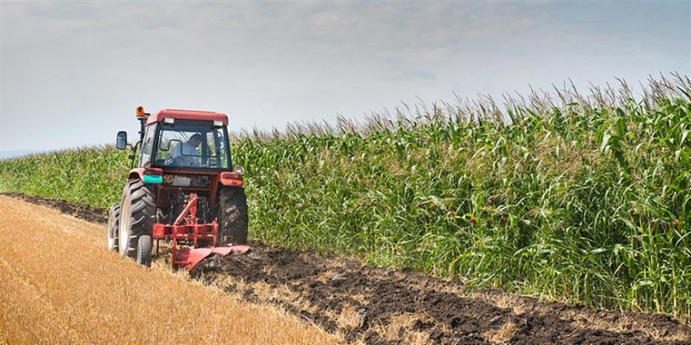 &Epsilon;&Epsilon;: &Pi;&rho;&omicron;&sigmaf; &kappa;&alpha;&tau;ά&rho;&gamma;&eta;&sigma;&eta; &tau;&omega;&nu; &epsilon;&lambda;έ&gamma;&chi;&omega;&nu; &sigma;&tau;&iota;&sigmaf; &alpha;&gamma;&rho;&omicron;&tau;&iota;&kappa;έ&sigmaf; &epsilon;&pi;&iota;&delta;&omicron;&tau;ή&sigma;&epsilon;&iota;&sigmaf;