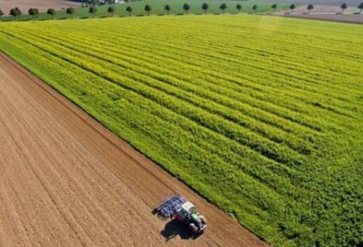 Οι προοπτικές της ευρωπαϊκής γεωργίας έως το 2035